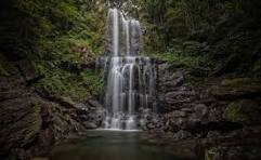 Waterfall in forest